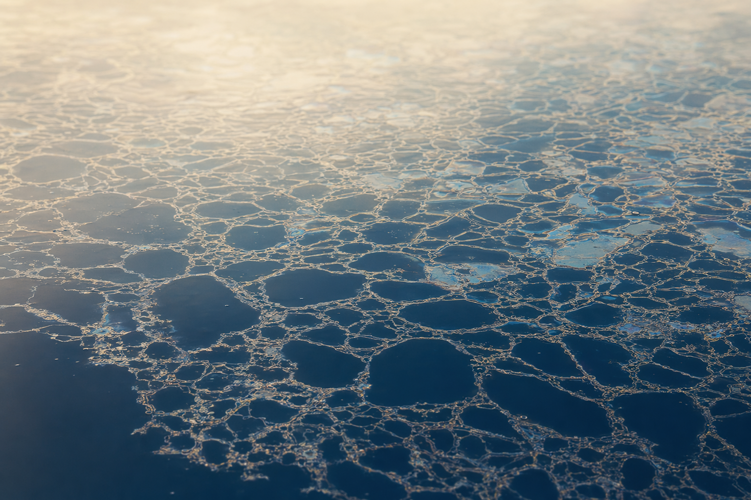 Biofilms: The Invisible Shields That Keep Skin Sick